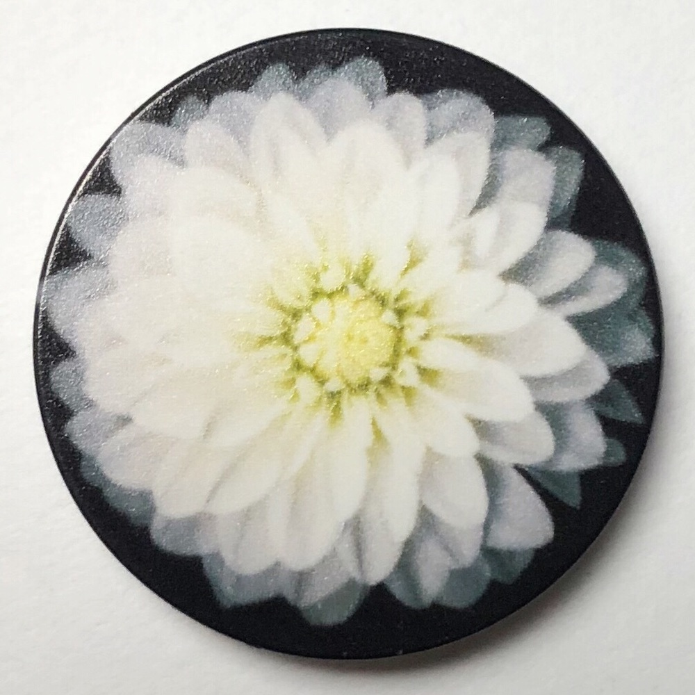 Popsocket + mount 🦄